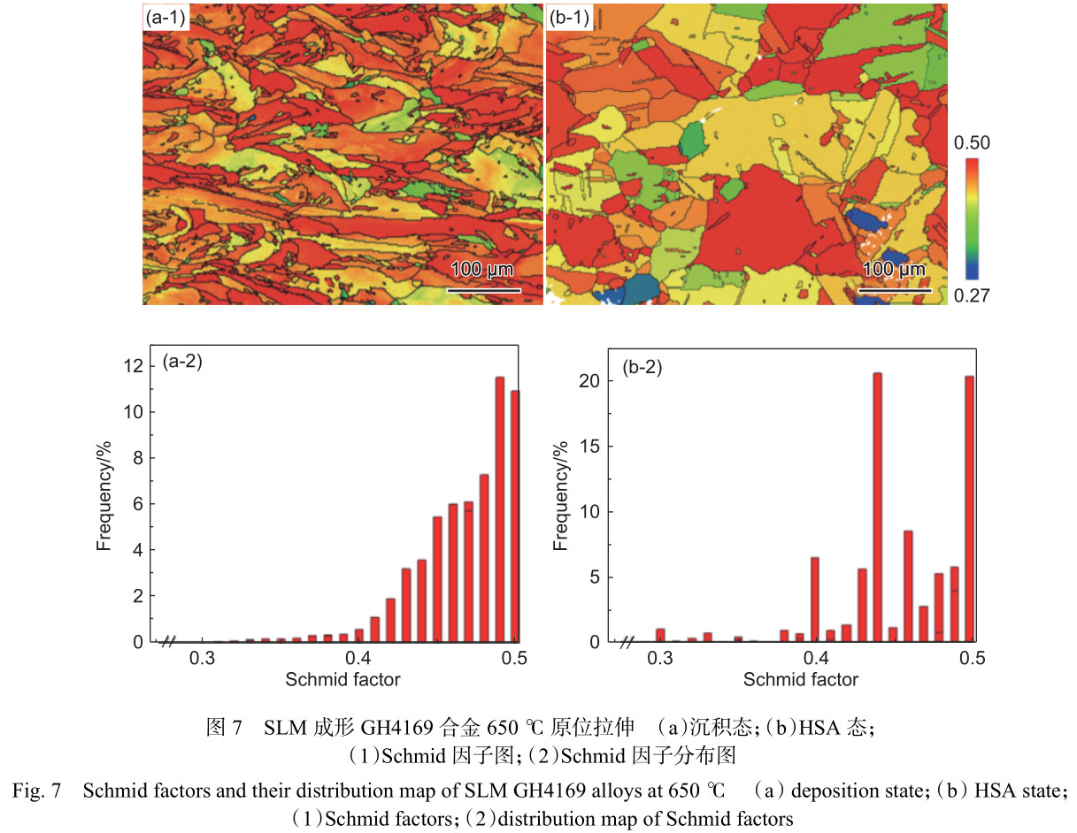 原位拉伸研究熱處理對激光選區(qū)熔化GH4169合金組織及650℃力學(xué)性能的影響 原位拉伸研究熱處理對激光選區(qū)熔化GH4169合金組織及650℃力學(xué)性能的影響