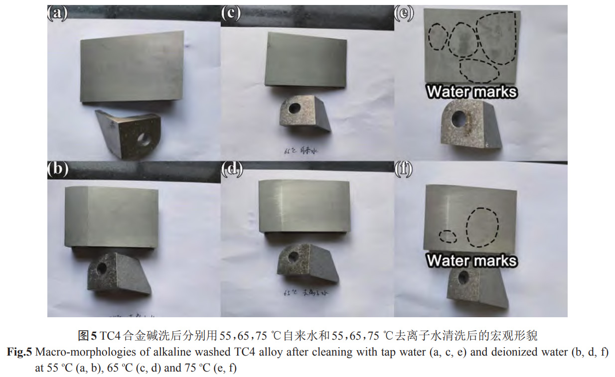 鈦合金零件表面堿洗及水洗留痕形成機制與腐蝕過程控制 鈦合金零件表面堿洗及水洗留痕形成機制與腐蝕過程控制