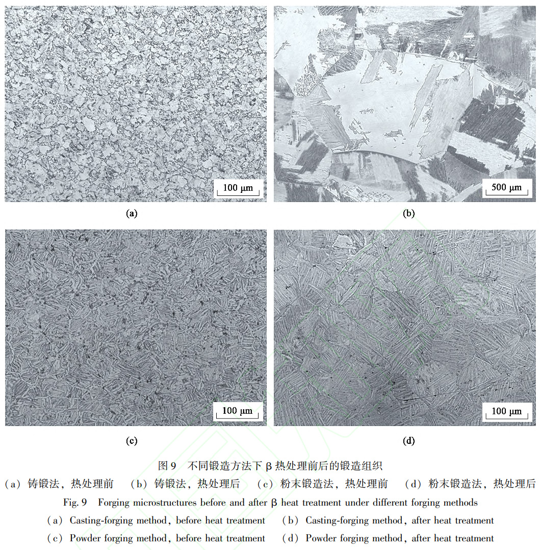 鈦合金粉末冶金β相區熱加工組織行為 鈦合金粉末冶金β相區熱加工組織行為