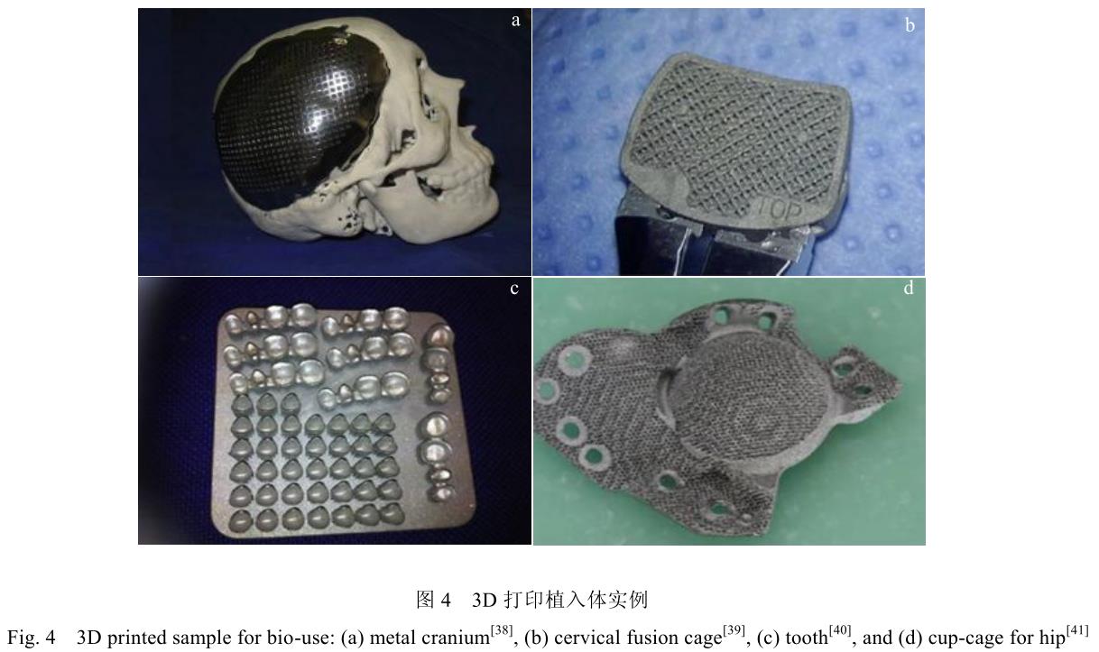 1689823086165982.jpg t4.jpg