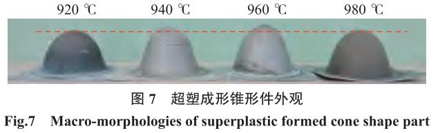 1694425565660674.jpg t7.jpg