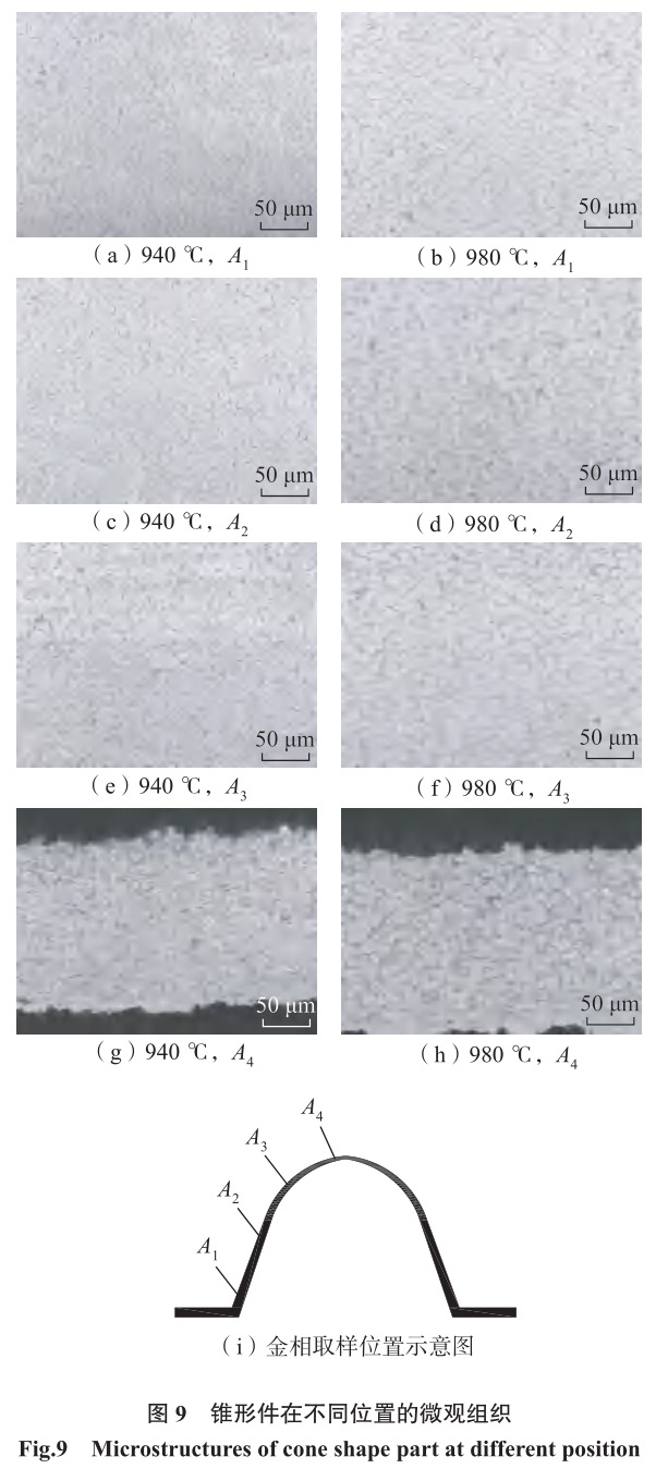 1694425585534641.jpg t9.jpg