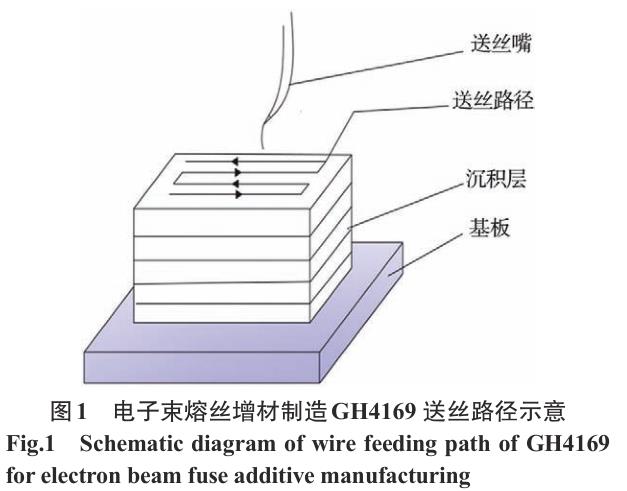 1695204722111807.jpg t1.jpg