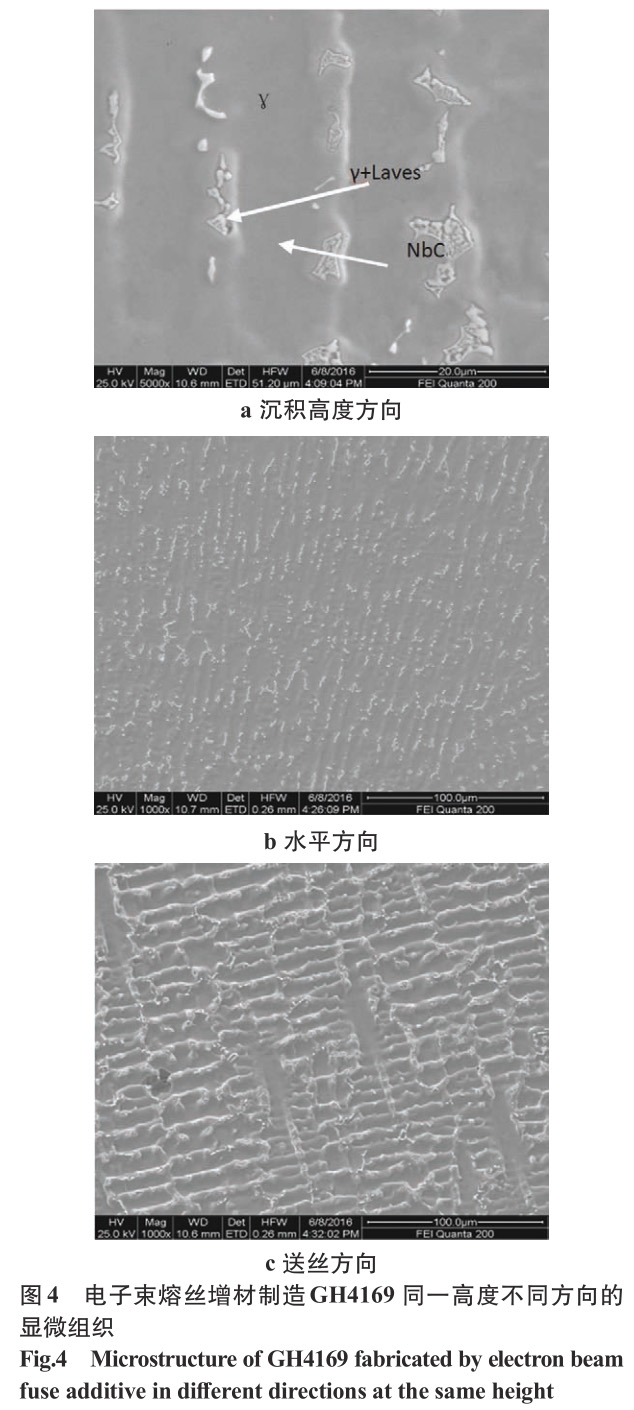 1695204772968832.jpg t4.jpg