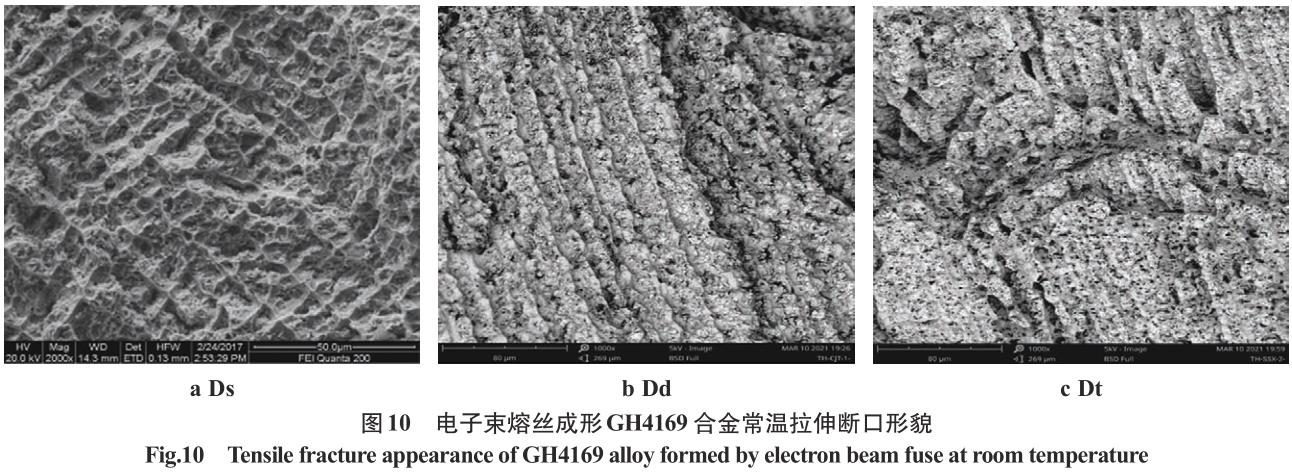 1695204837651304.jpg t10.jpg