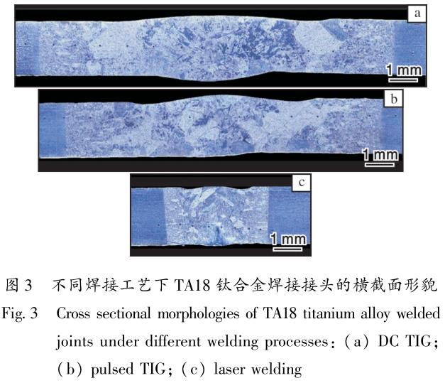 1695300904971775.jpg t3.jpg