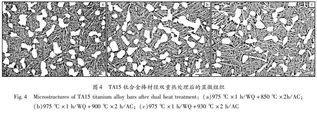 1695565528145967.jpg t4.jpg