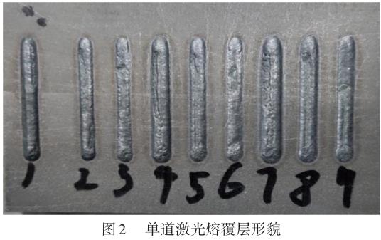 1695569113516402.jpg t2.jpg