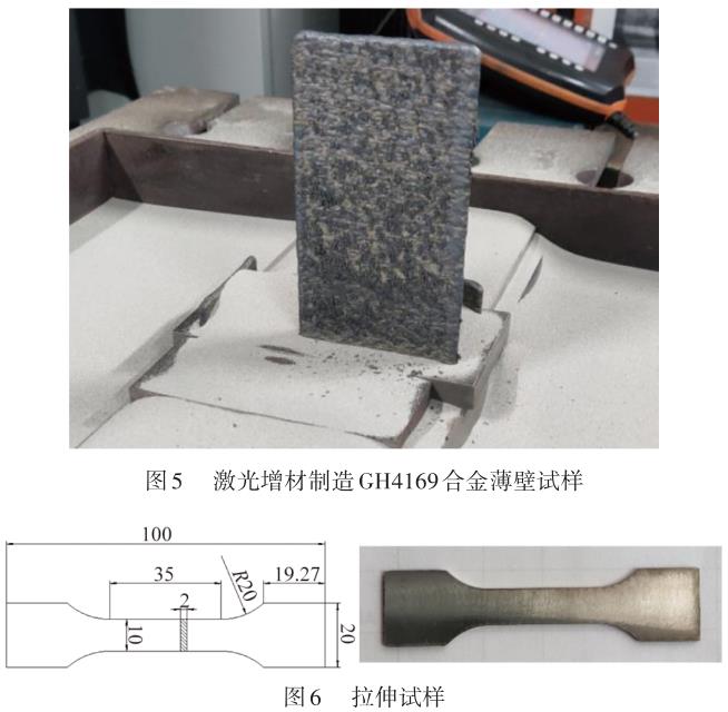 1695569155474867.jpg t5-6.jpg