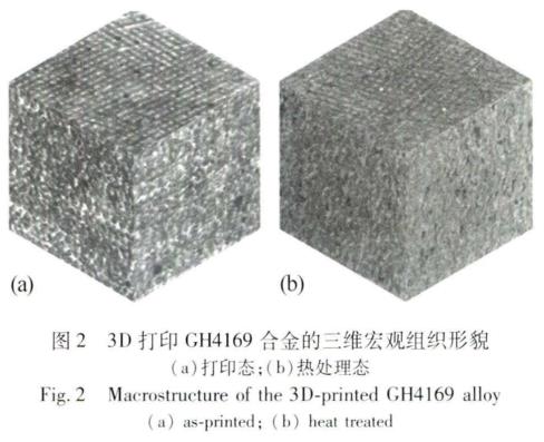 1695783825609867.jpg t2.jpg