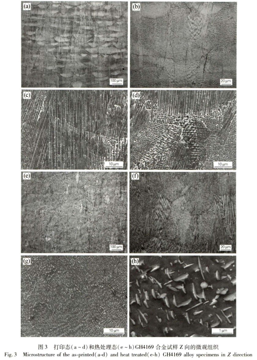 1695783865349248.jpg t3.jpg