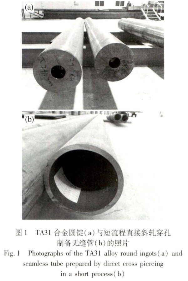 1695806214517198.jpg t1.jpg