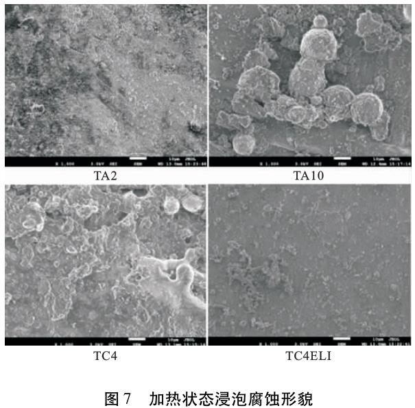 1695830044782830.jpg t7.jpg