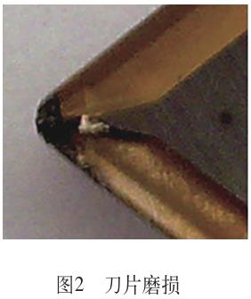 1701005304961090.jpg t2.jpg