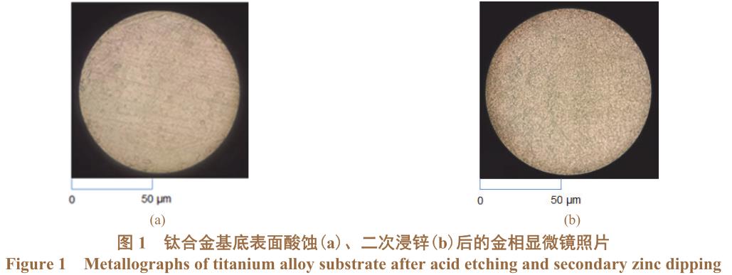 1708162146364515.jpg t1.jpg