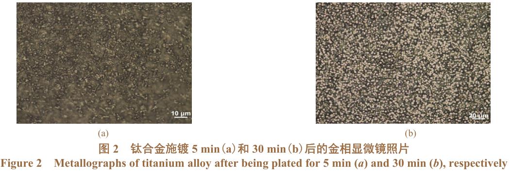 1708162154349927.jpg t2.jpg