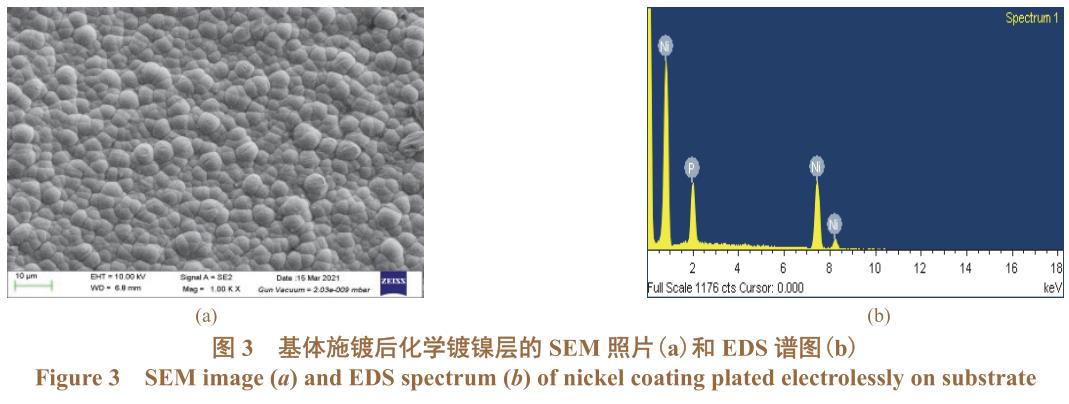 1708162163935944.jpg t3.jpg