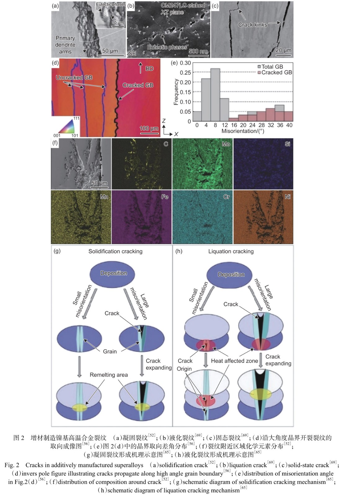 1713323857208866.jpg t2.jpg