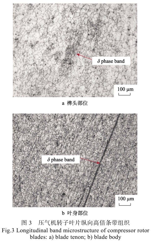 1713672481266097.jpg t3.jpg