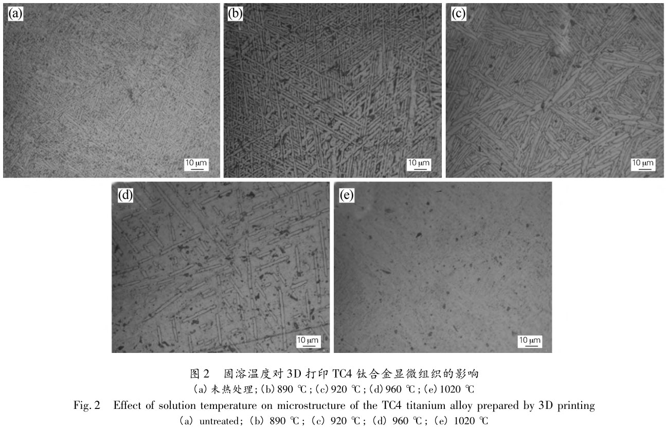 1705810630341554.jpg t2.jpg