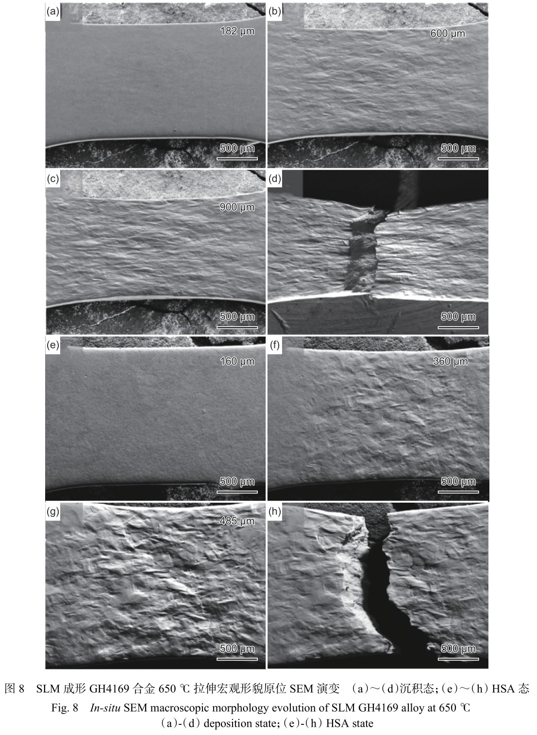 1716285265864918.jpg 未標題-7.jpg