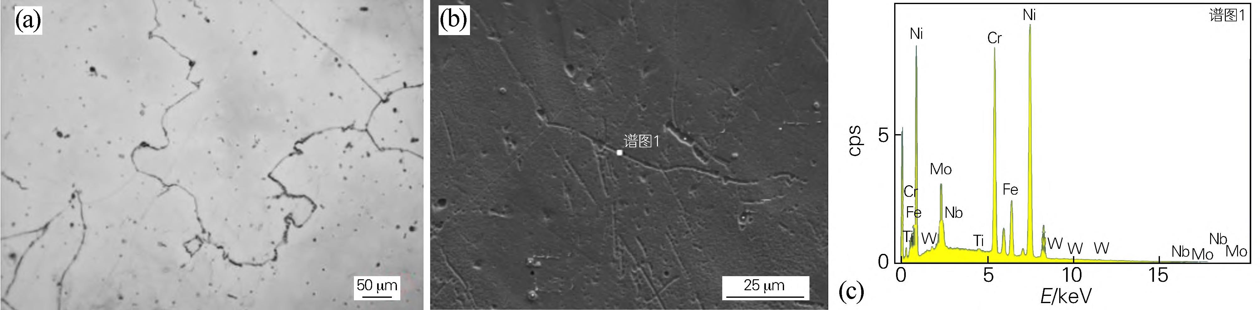 1716341295565496.jpg 2.jpg