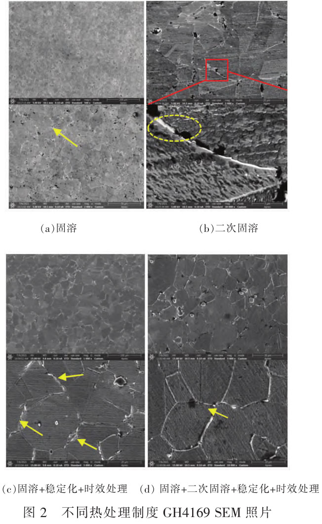 1716450274954390.jpg t2.jpg