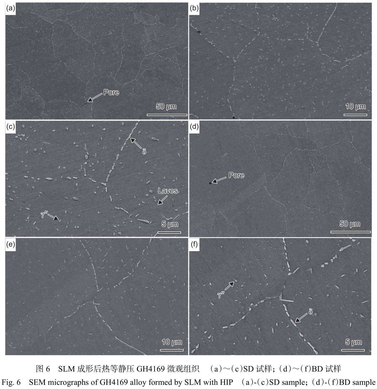 1716520437594454.jpg t6.jpg