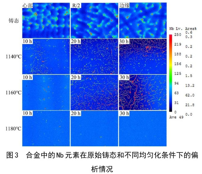 1716603304864671.jpg t3.jpg