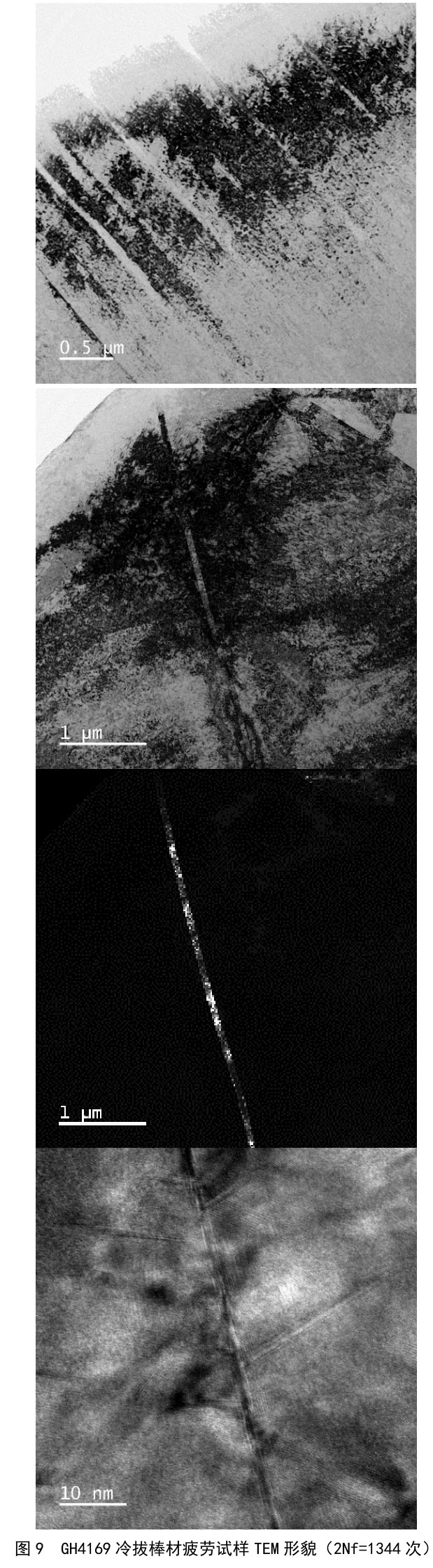 1716603396241388.jpg t9.jpg