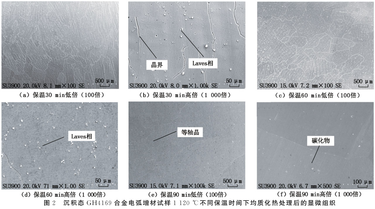 1716626870968000.jpg 未標題-2.jpg