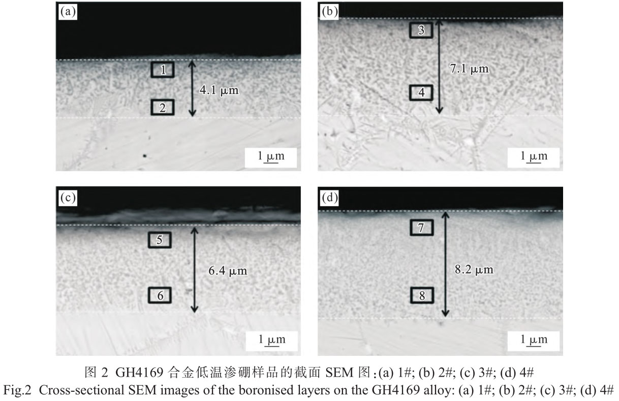 1720795100300980.jpg t2.jpg