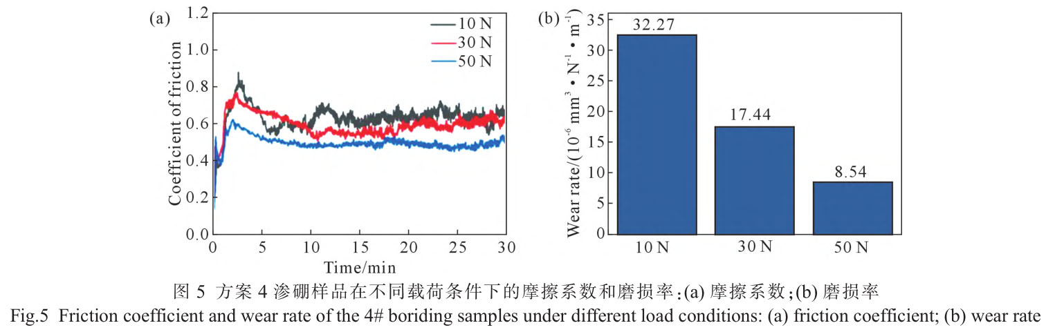 1720795145137737.jpg t5.jpg