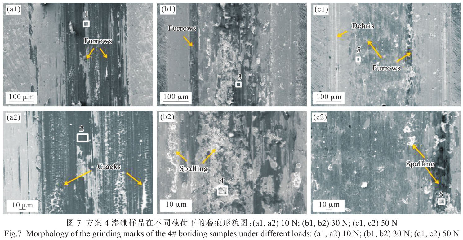 1720795184803584.jpg t7.jpg