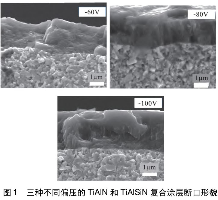 1720797972454887.jpg t1.jpg