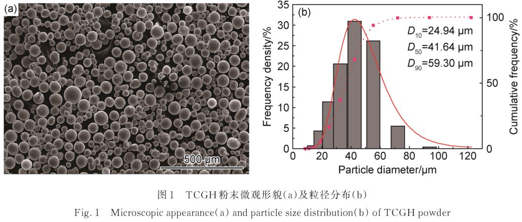 1720841240749385.jpg t1.jpg