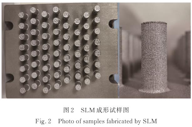 1720841259111354.jpg t2.jpg