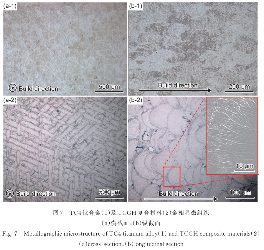 1720841310875190.jpg t7.jpg