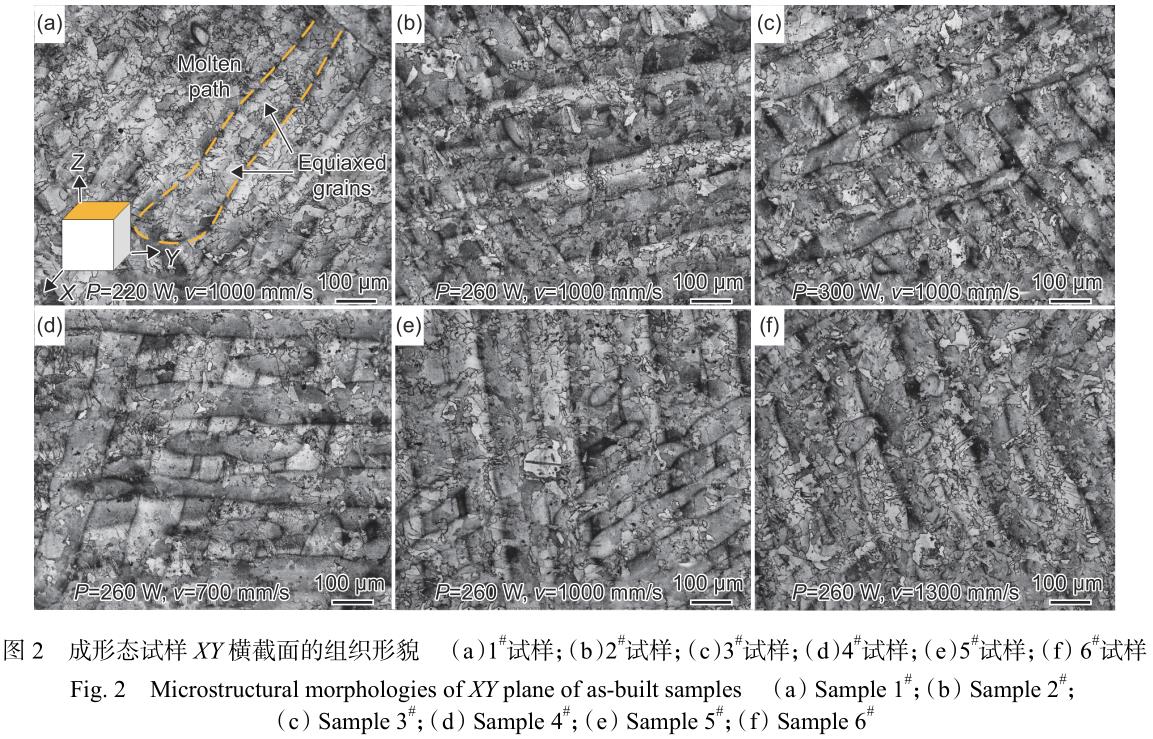 1720843165355308.jpg t2.jpg