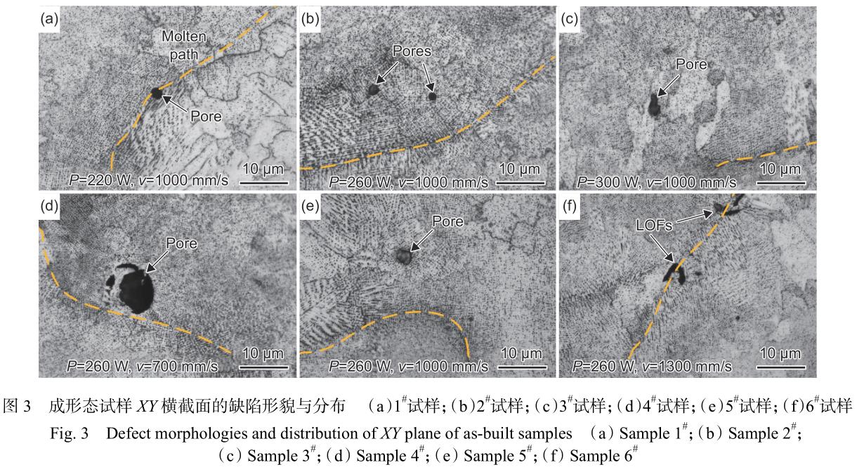 1720843175545654.jpg t3.jpg