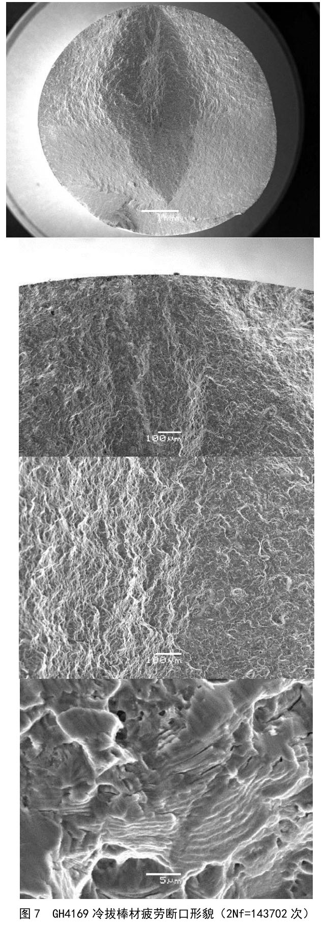 1722675664899428.jpg t7.jpg