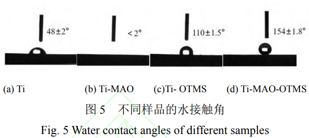 1738590144344191.png 截圖20250203213656.png