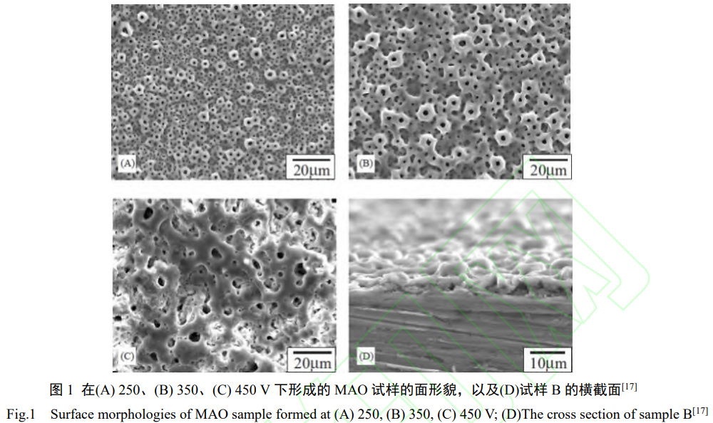 1738674273906872.png 1.png