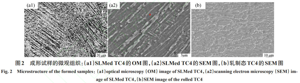 1738805448627153.png 截圖20250206092642.png