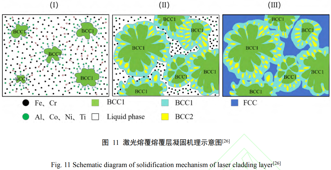 1739076934108690.png t11.png