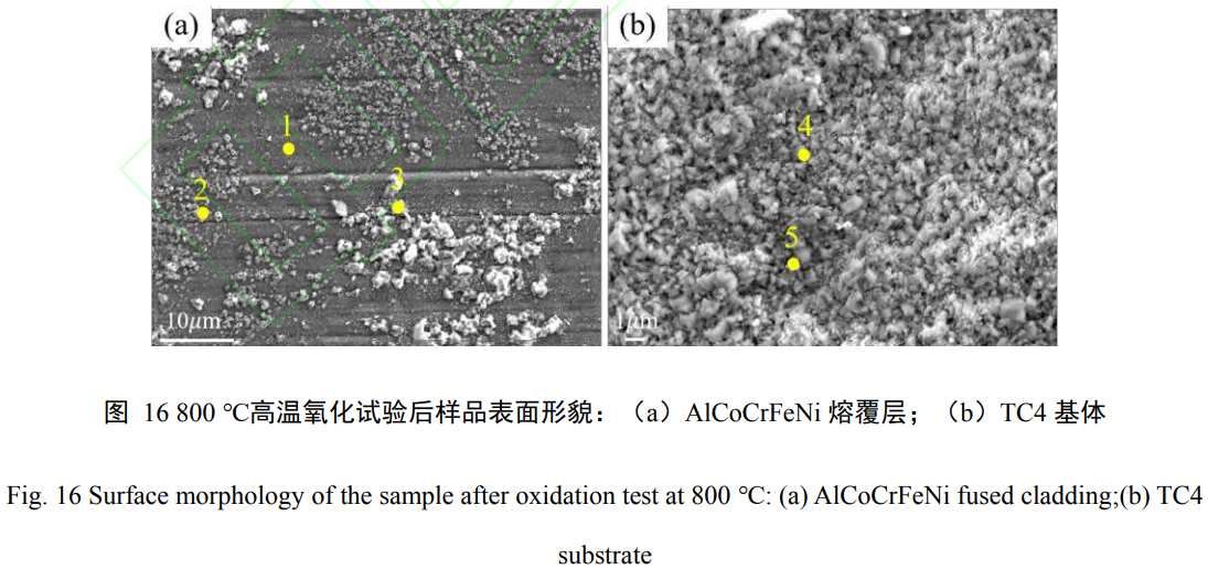 1739077015663926.png t16.png