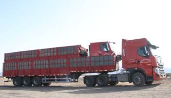 緊抓市場(chǎng),協(xié)同共促 玉柴物流集團(tuán)助力客戶(hù)物流運(yùn)力再升級(jí)